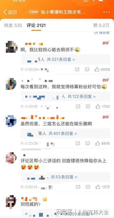 张小寒最新爆料什么意思,娱乐圈风云再起 第2张 张小寒最新爆料什么意思,娱乐圈风云再起 第2张