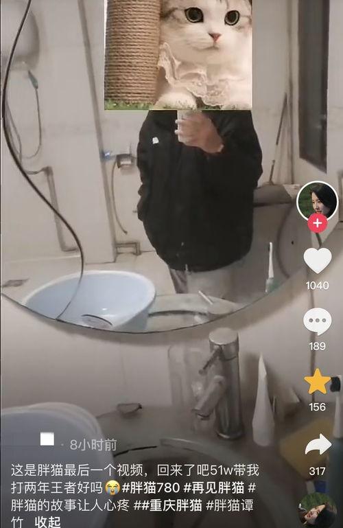 胖猫最新爆料视频,揭秘娱乐圈惊人内幕! 第1张 胖猫最新爆料视频,揭秘娱乐圈惊人内幕! 第1张